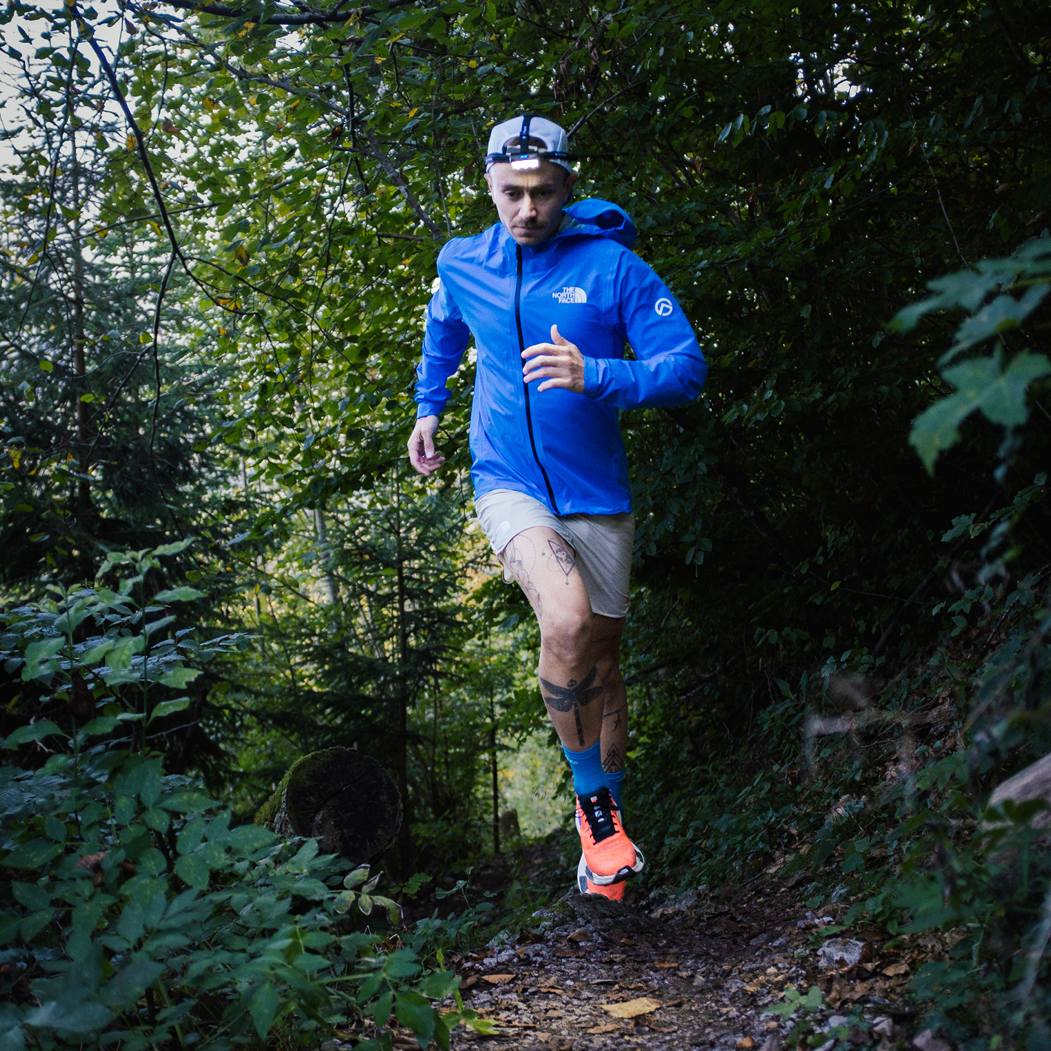 นักวิ่งเทรลใส่ไฟฉายคาดหัว Ledlenser วิ่งบนเส้นทางป่า (Trail runner wearing a Ledlenser headlamp on a forest trail)